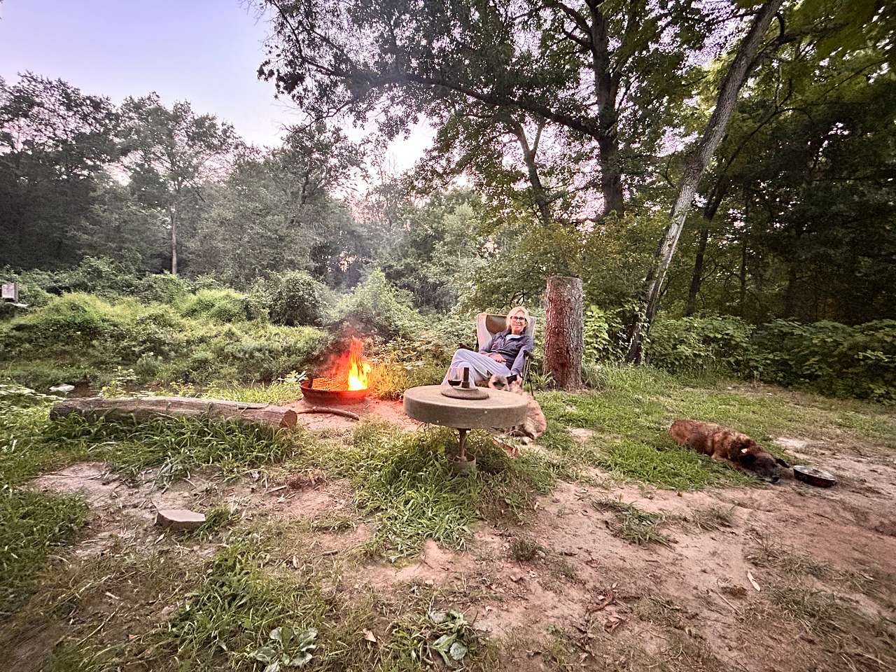 Picture of the site