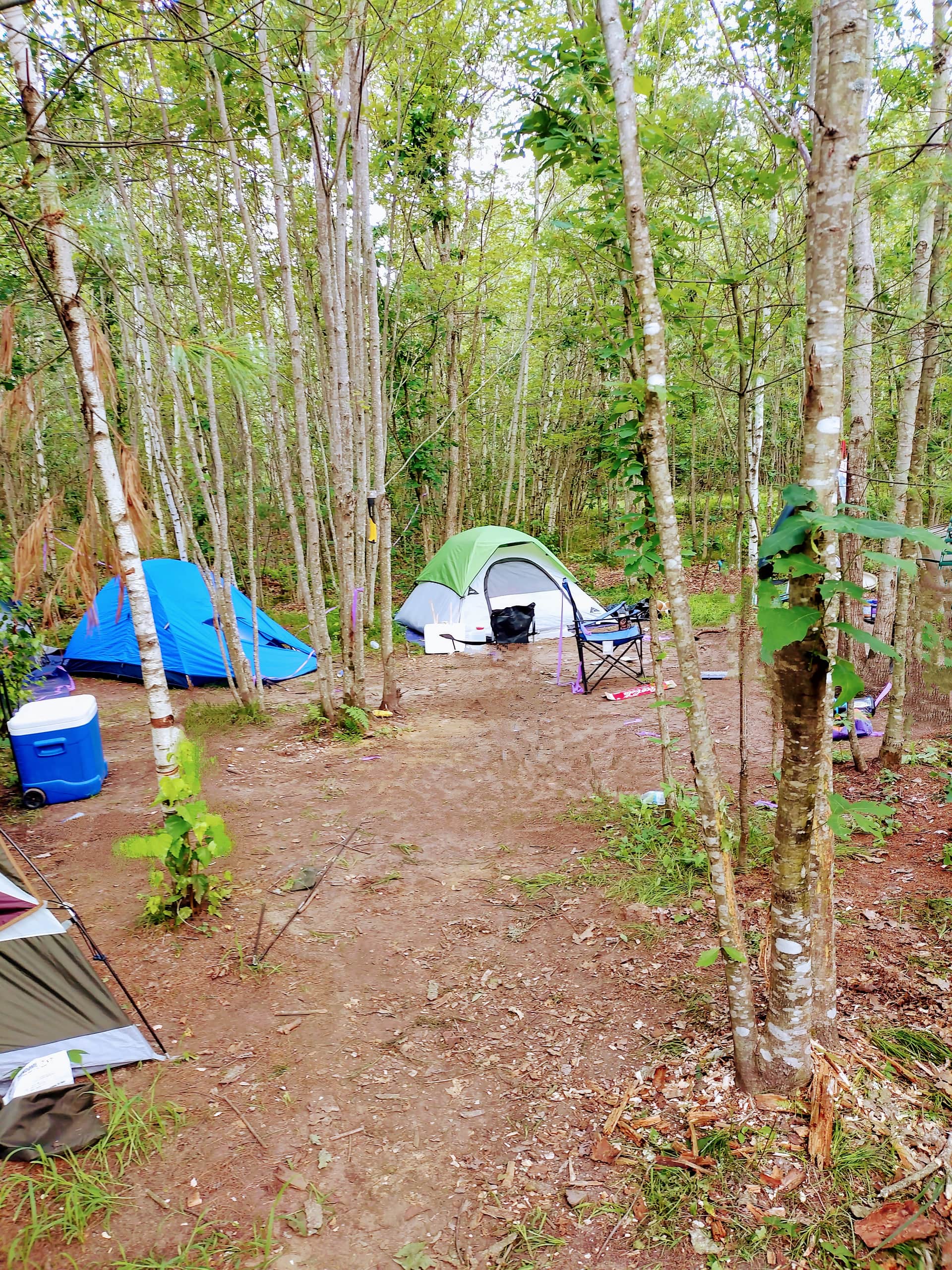 Picture of the site
