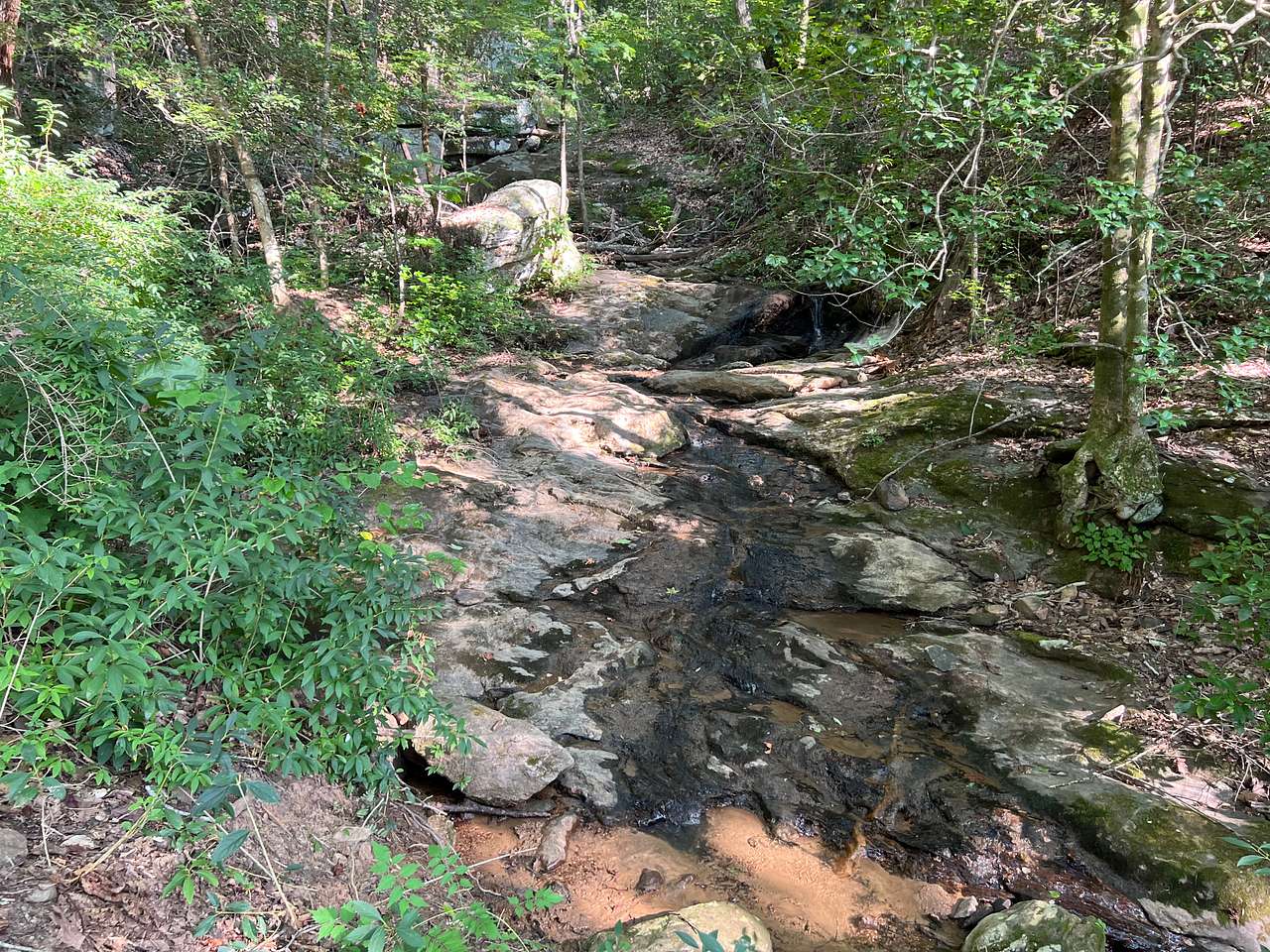 Picture of the site