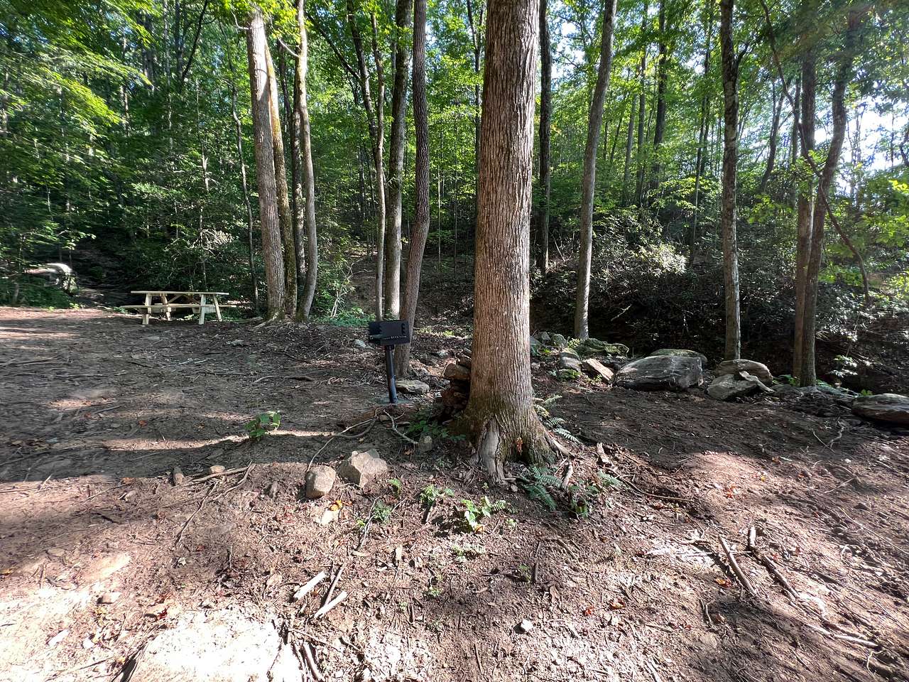 Picture of the site