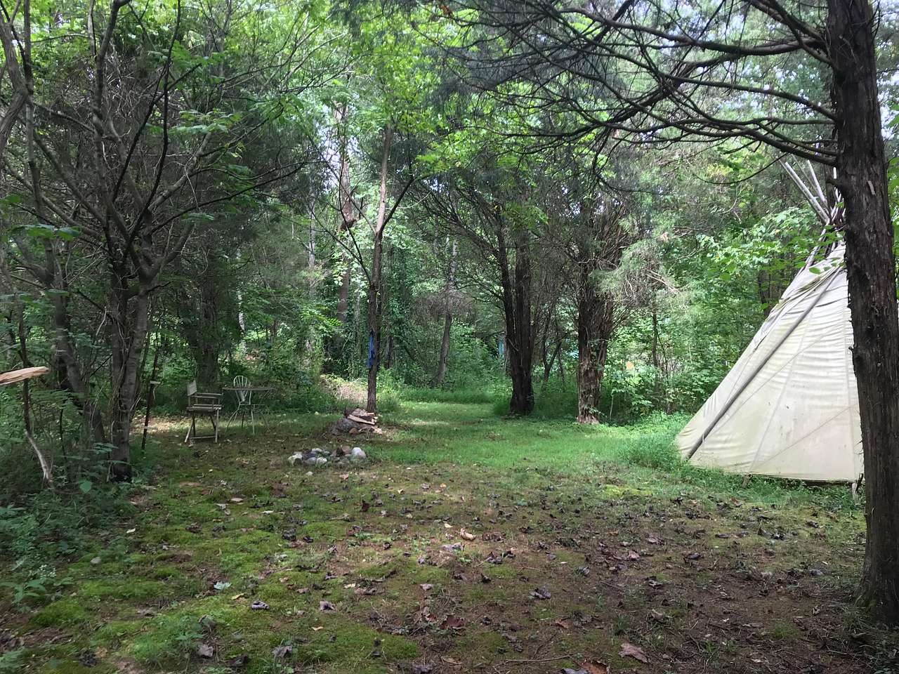 Picture of the site