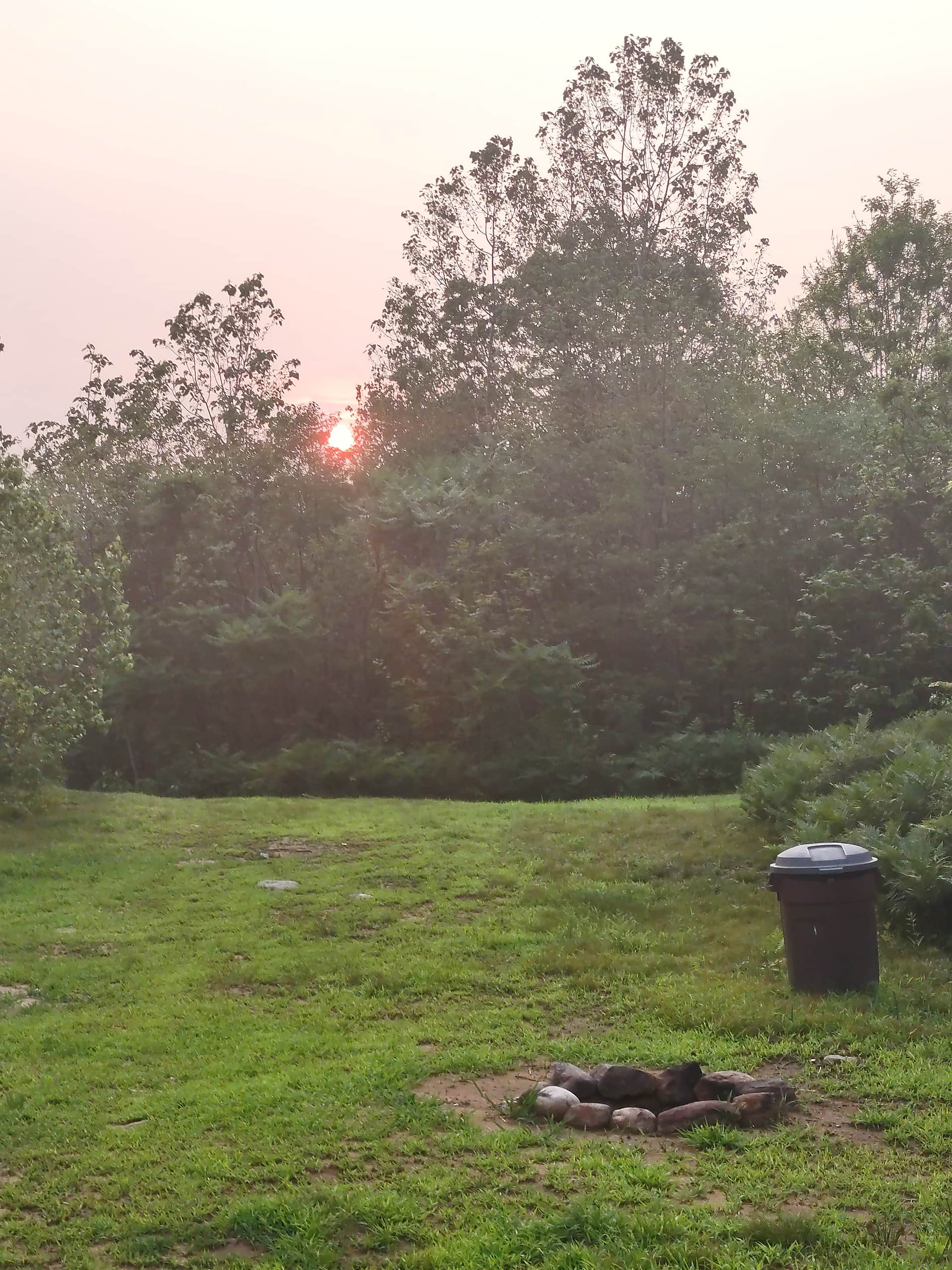 Picture of the site
