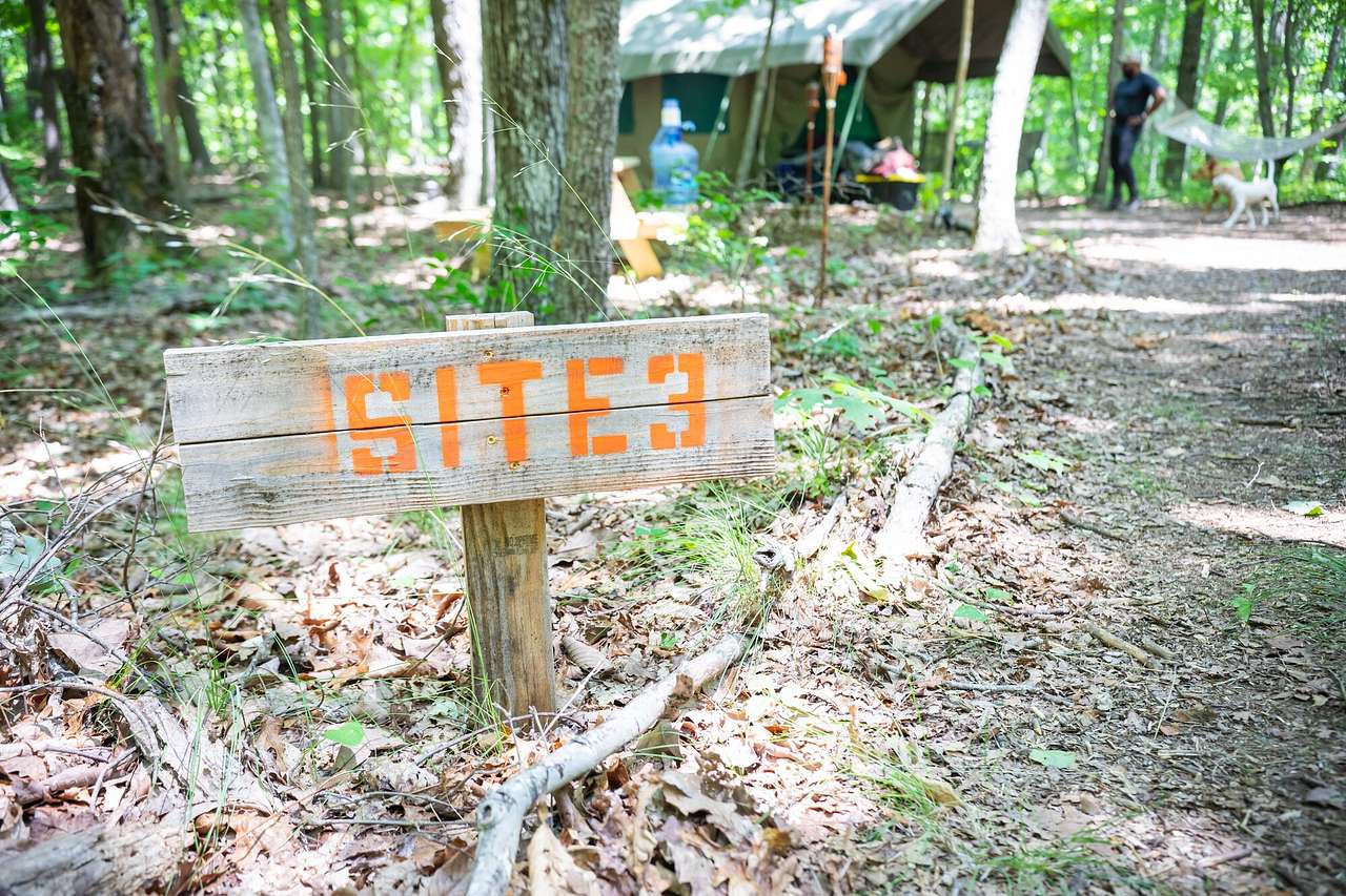 Picture of the site