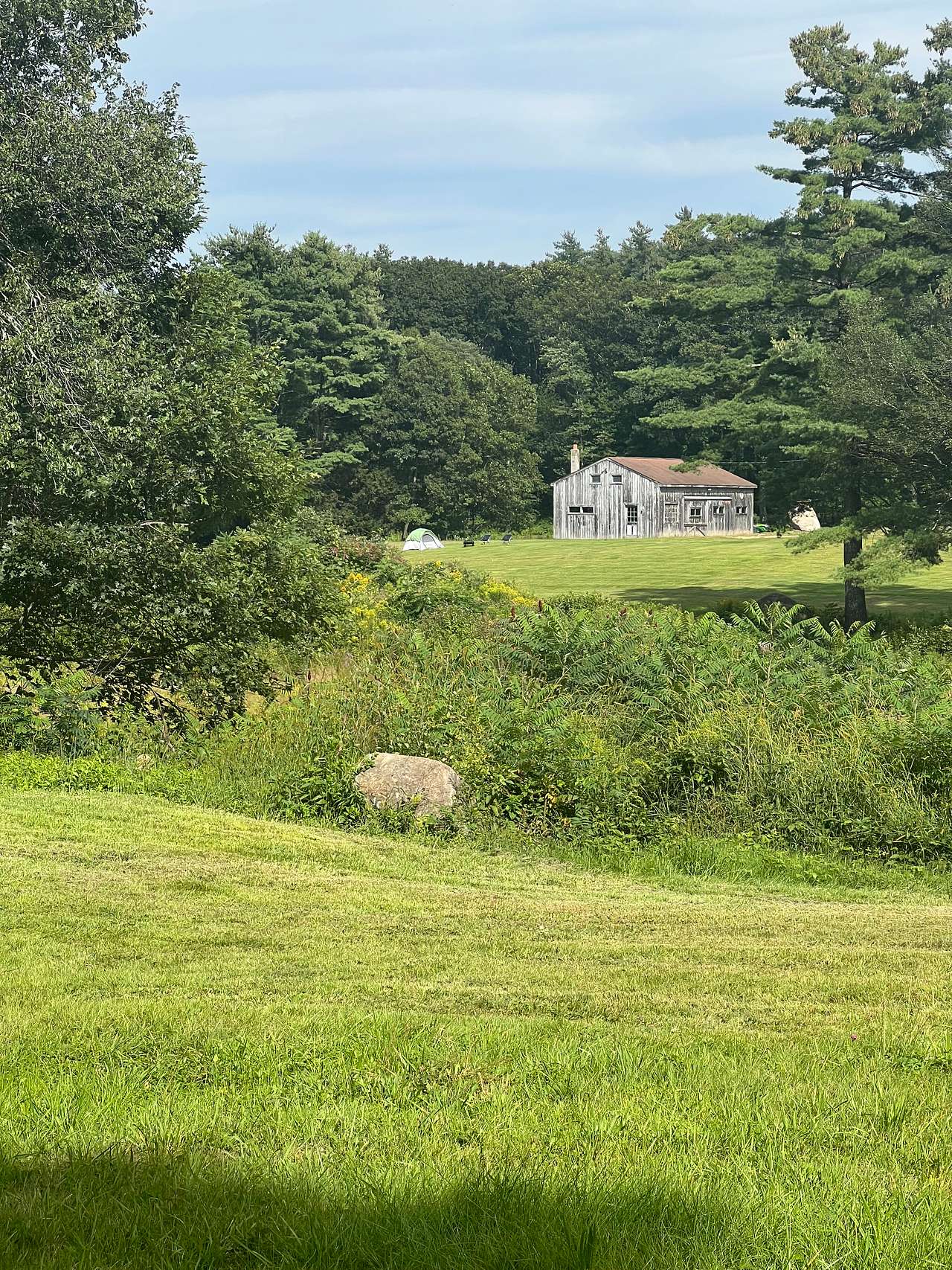 Picture of the site