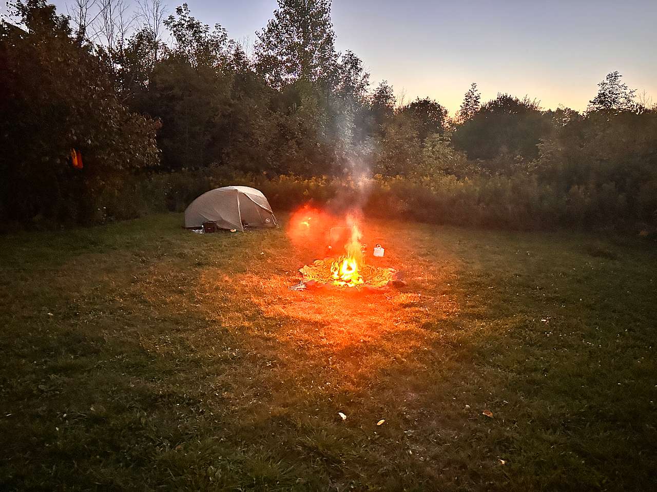 Picture of the site