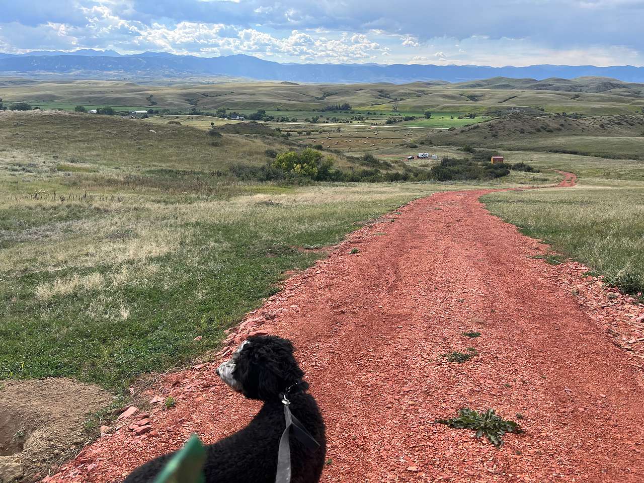 View pets photos of Brackettry Ranch