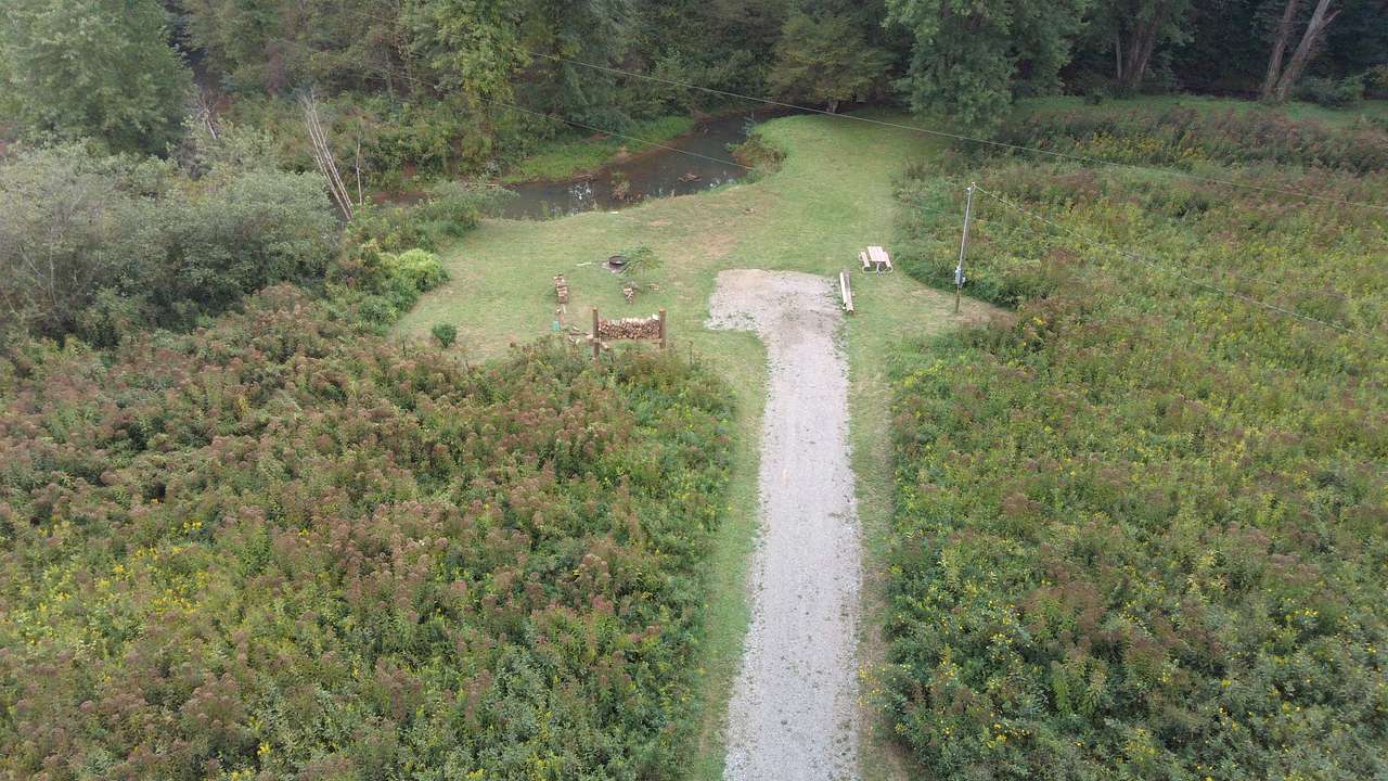 Picture of the site