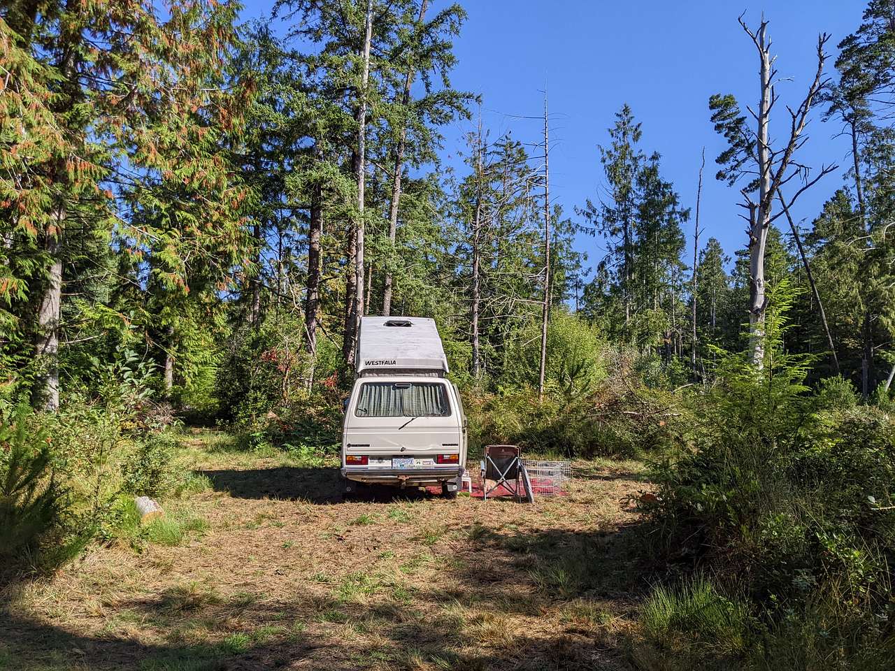 Picture of the site