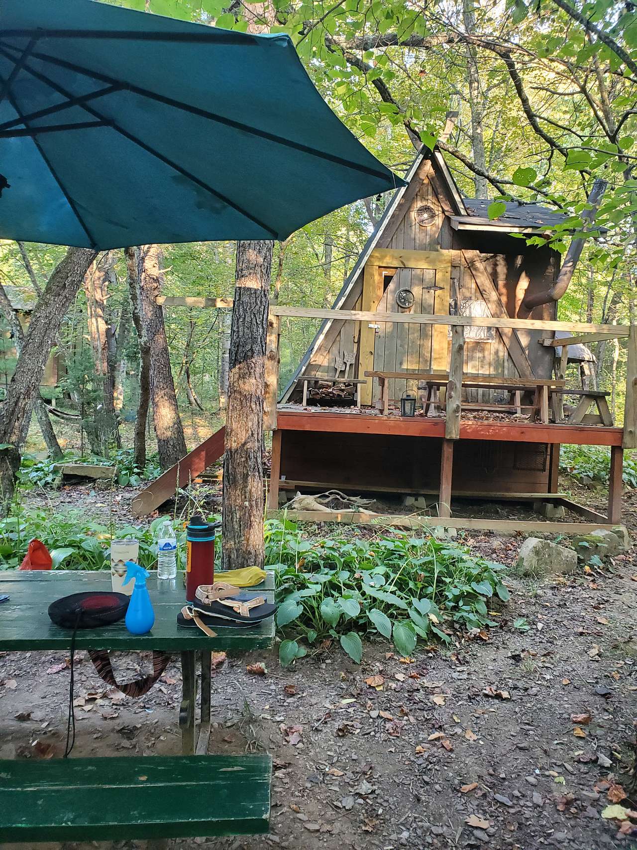 Picture of the site