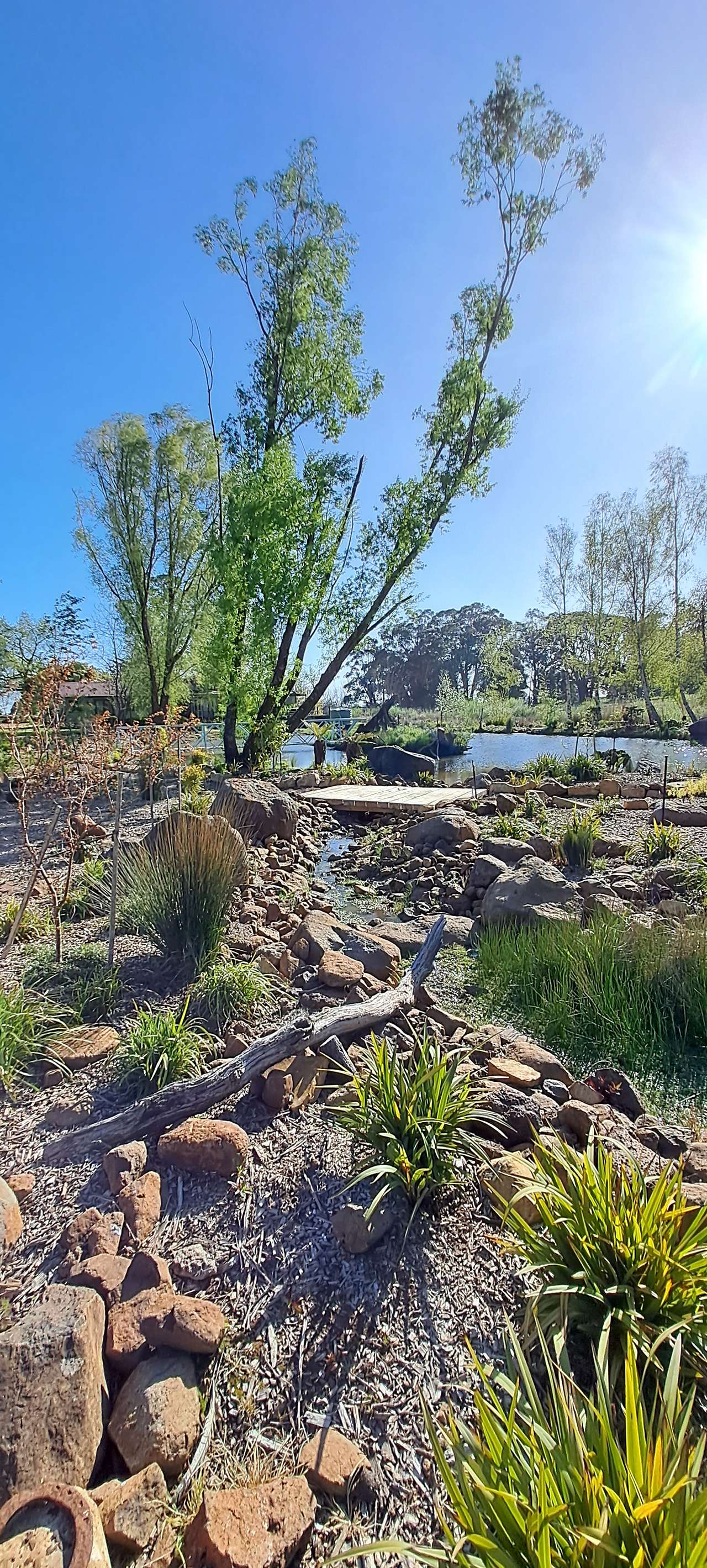 Picture of the site