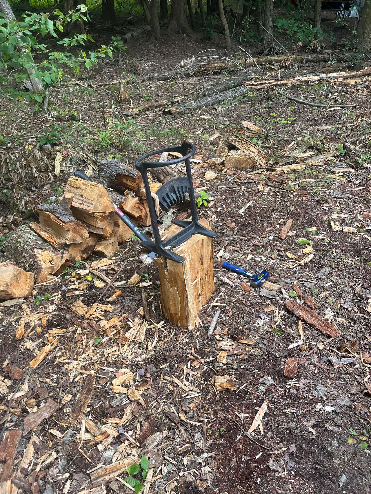 Picture of the site