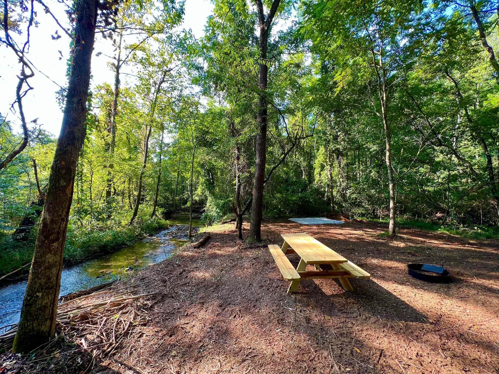 Picture of the site