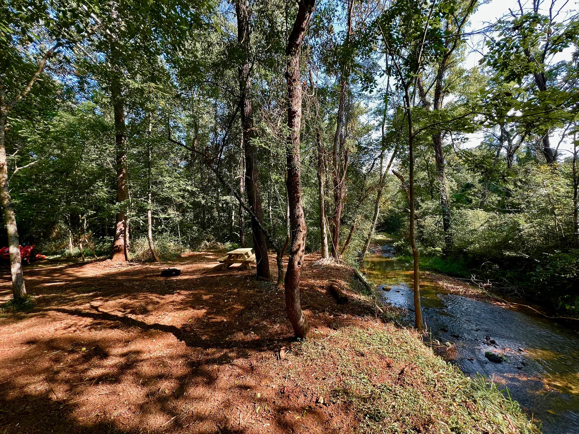 Picture of the site