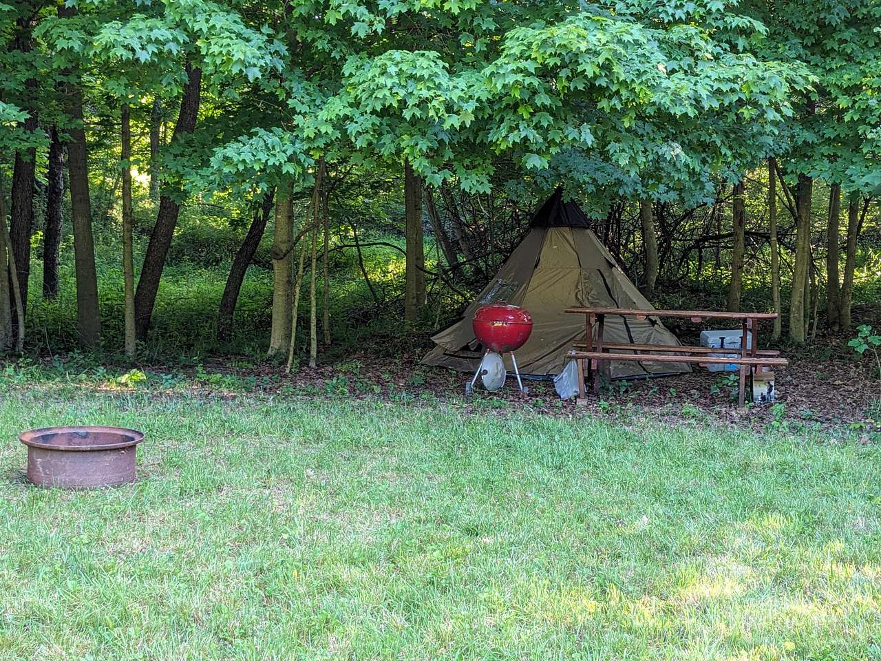 Picture of the site