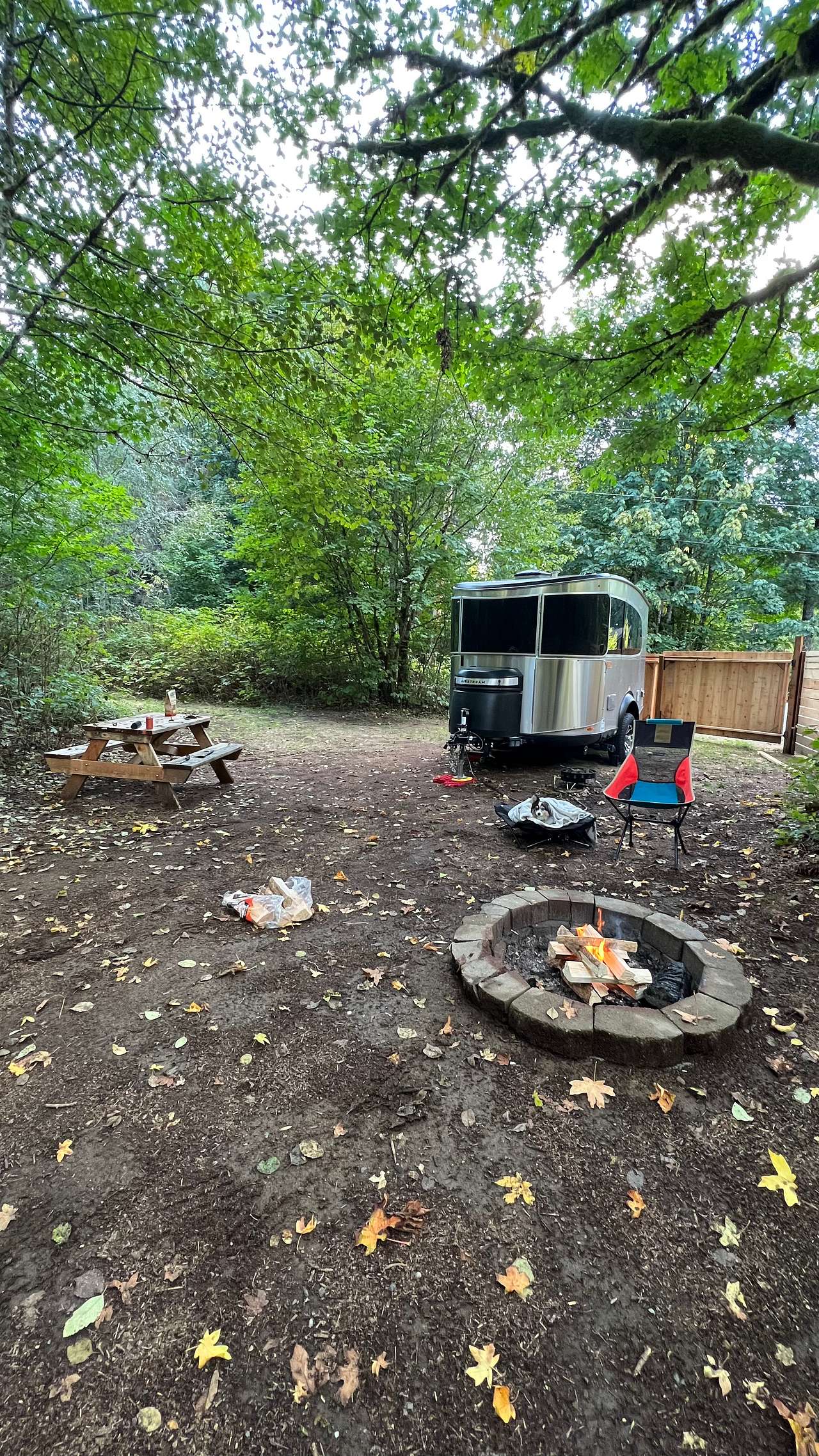 Picture of the site