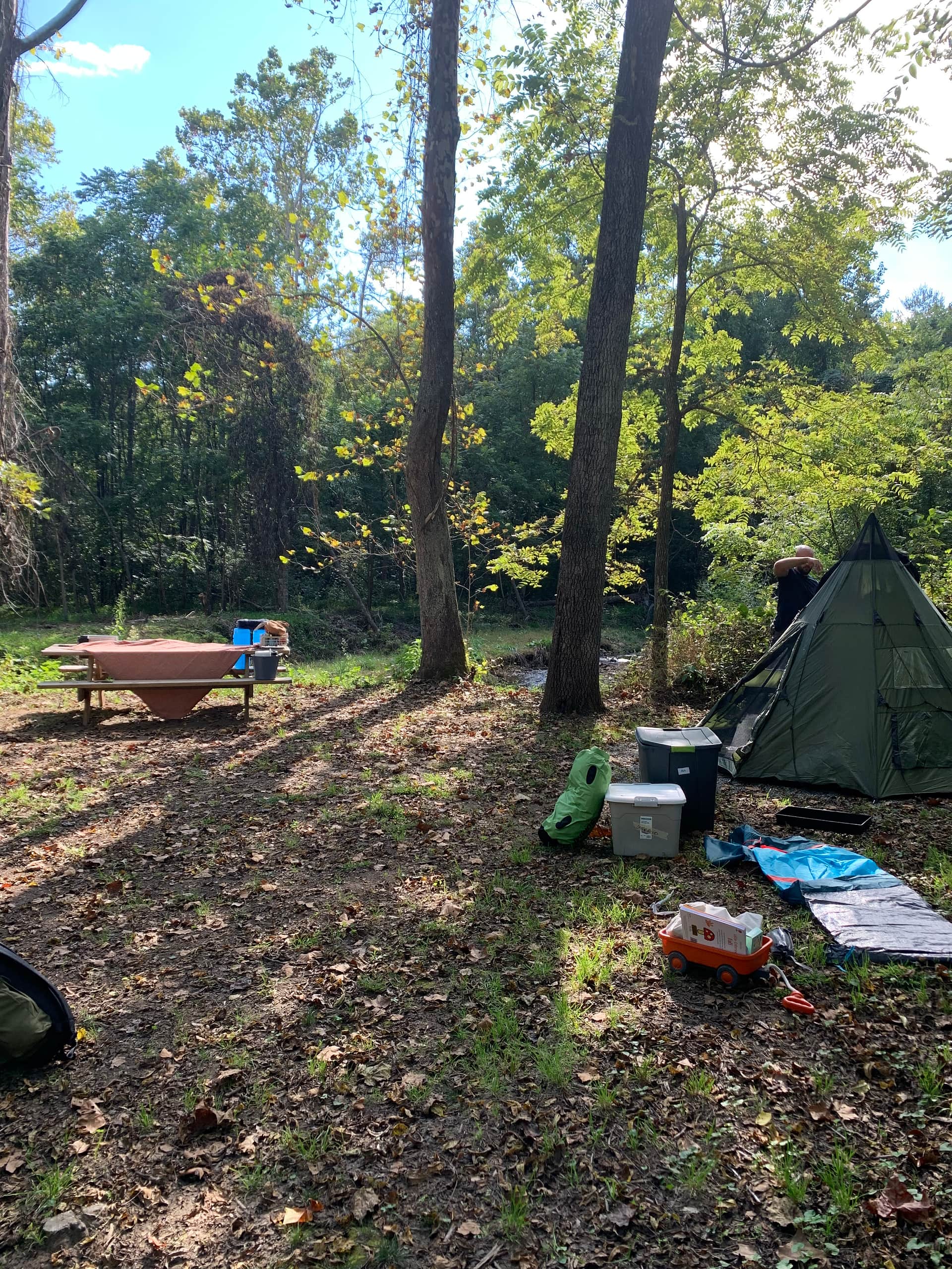 Picture of the site