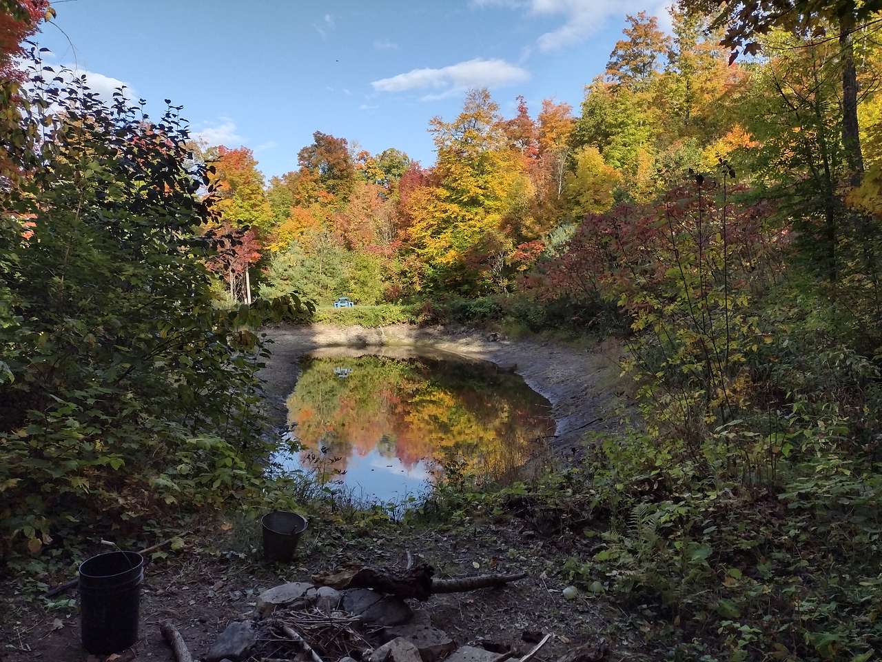 Picture of the site