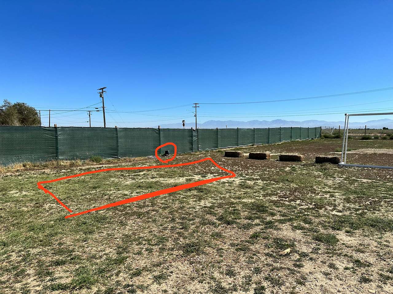 Picture of the site