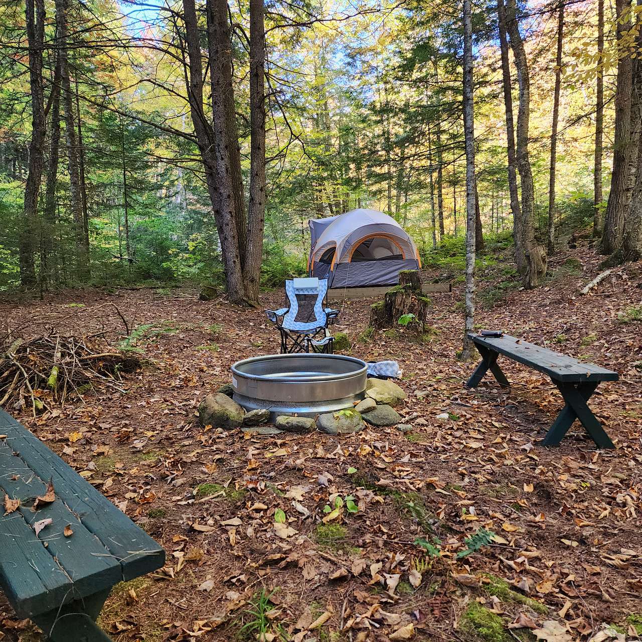 Picture of the site