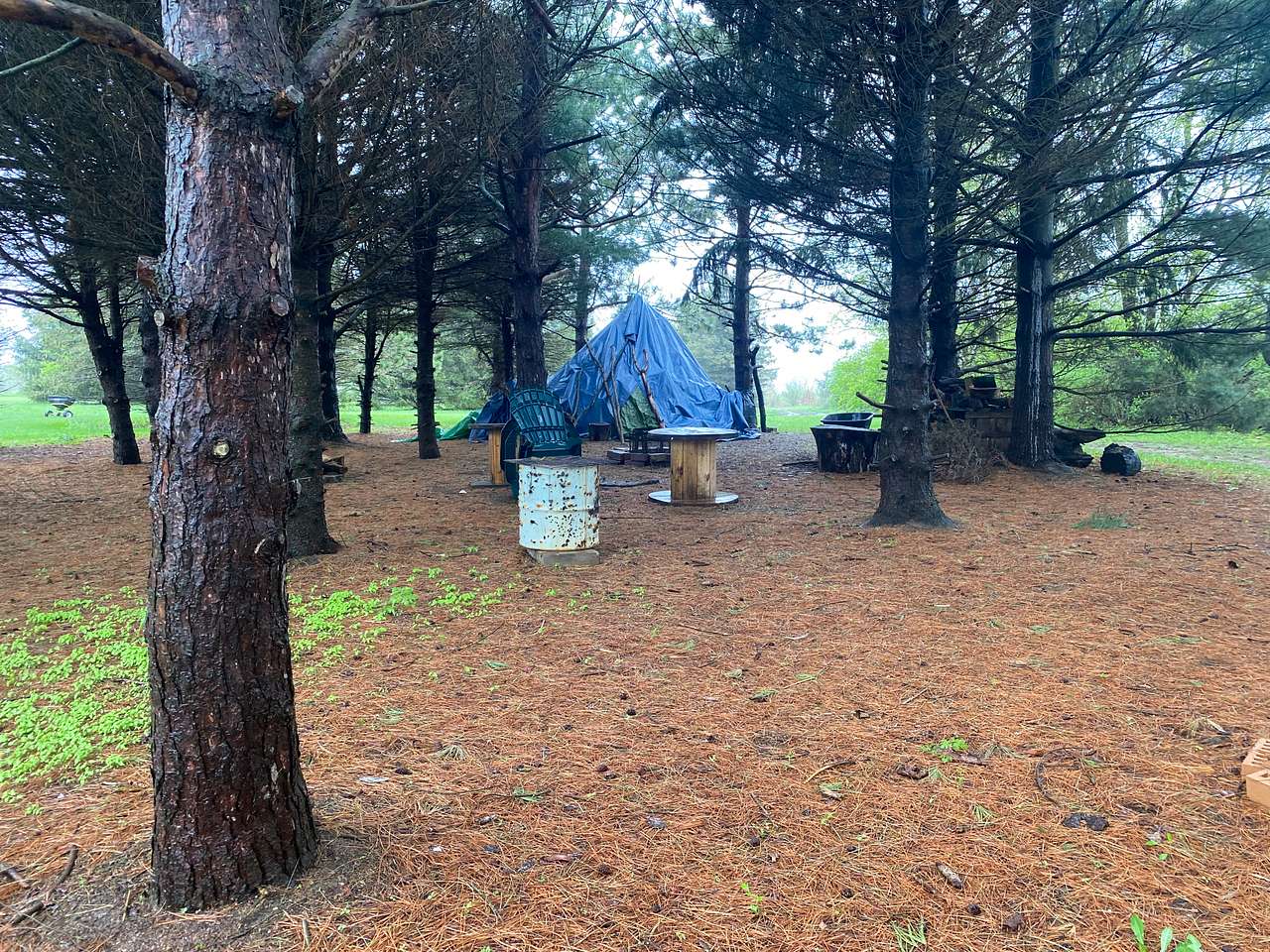 Picture of the site