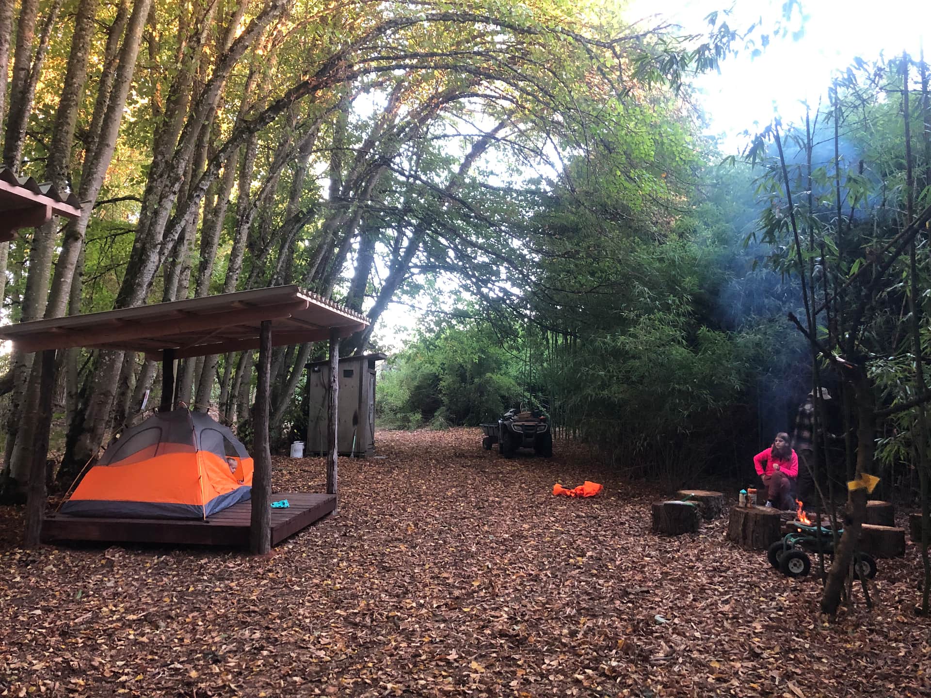 Picture of the site