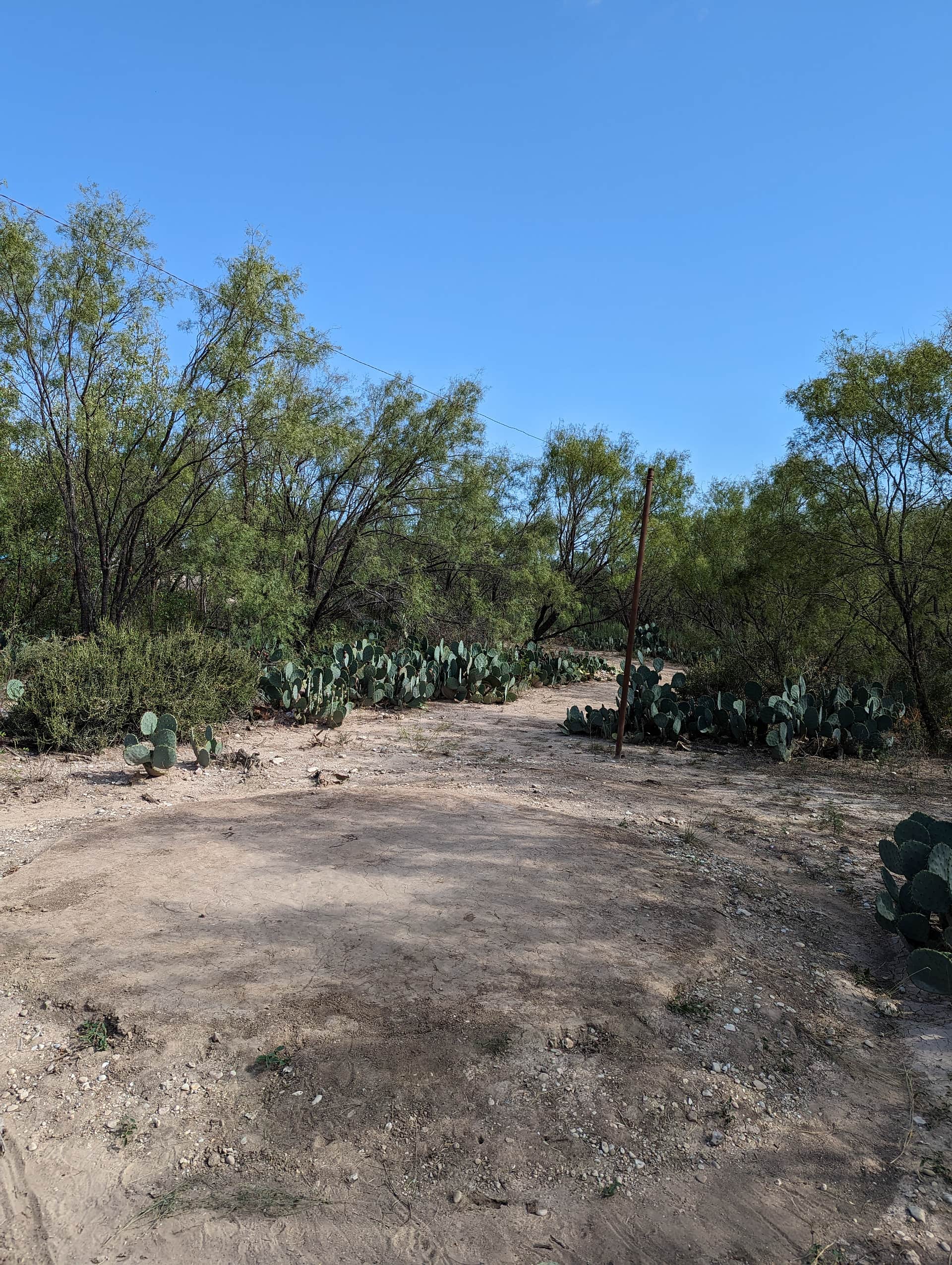 Picture of the site