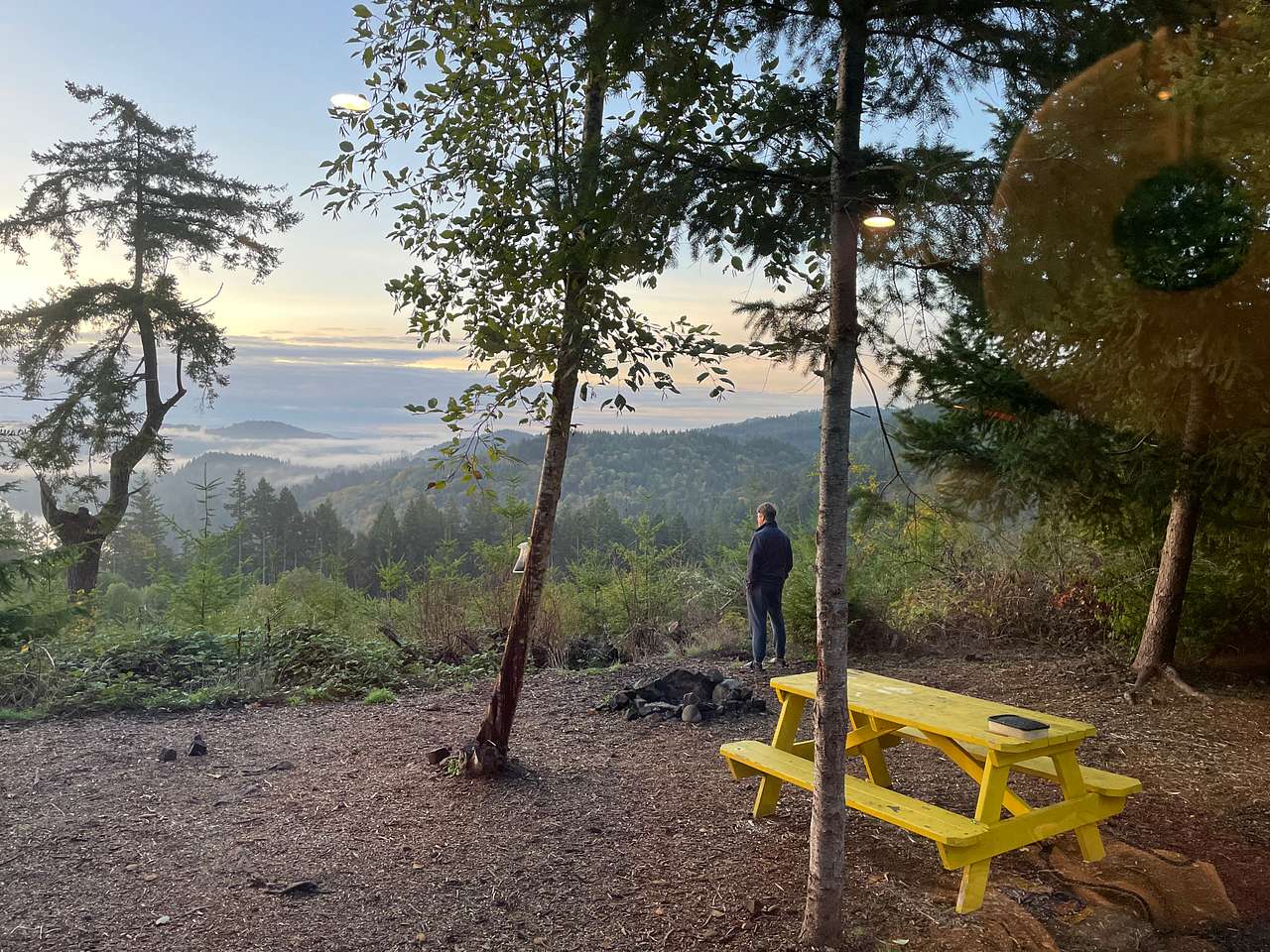 Picture of the site