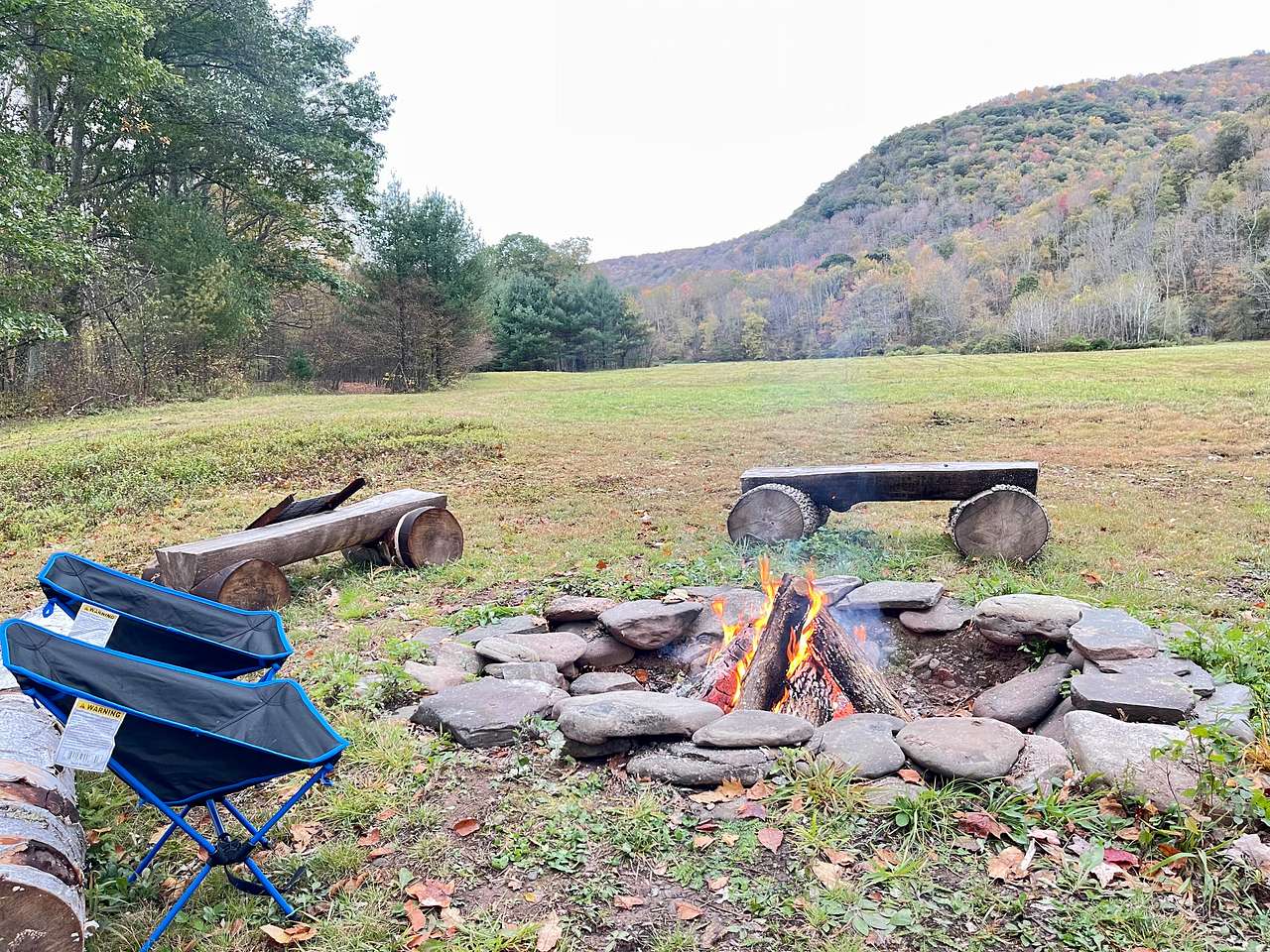 Picture of the site