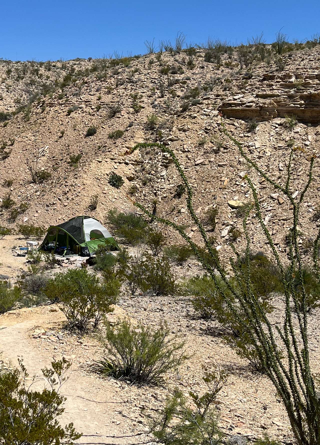 Picture of the site