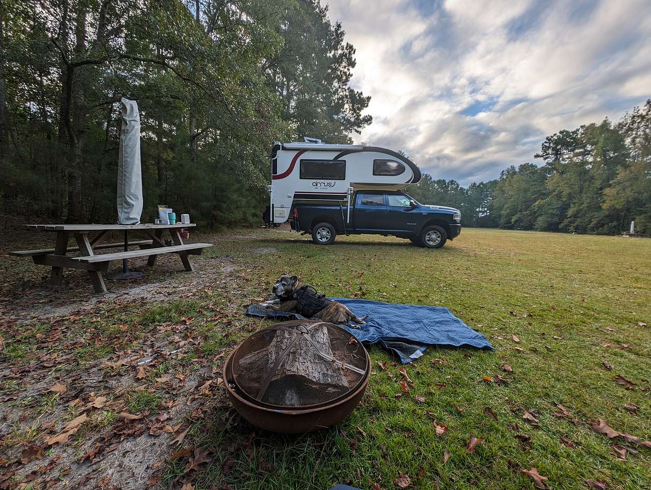 Picture of the site