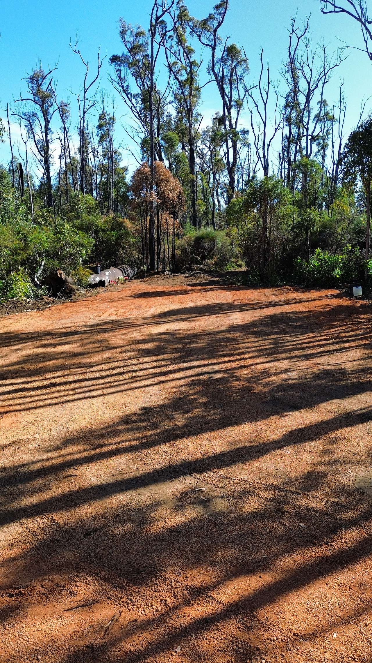 Picture of the site