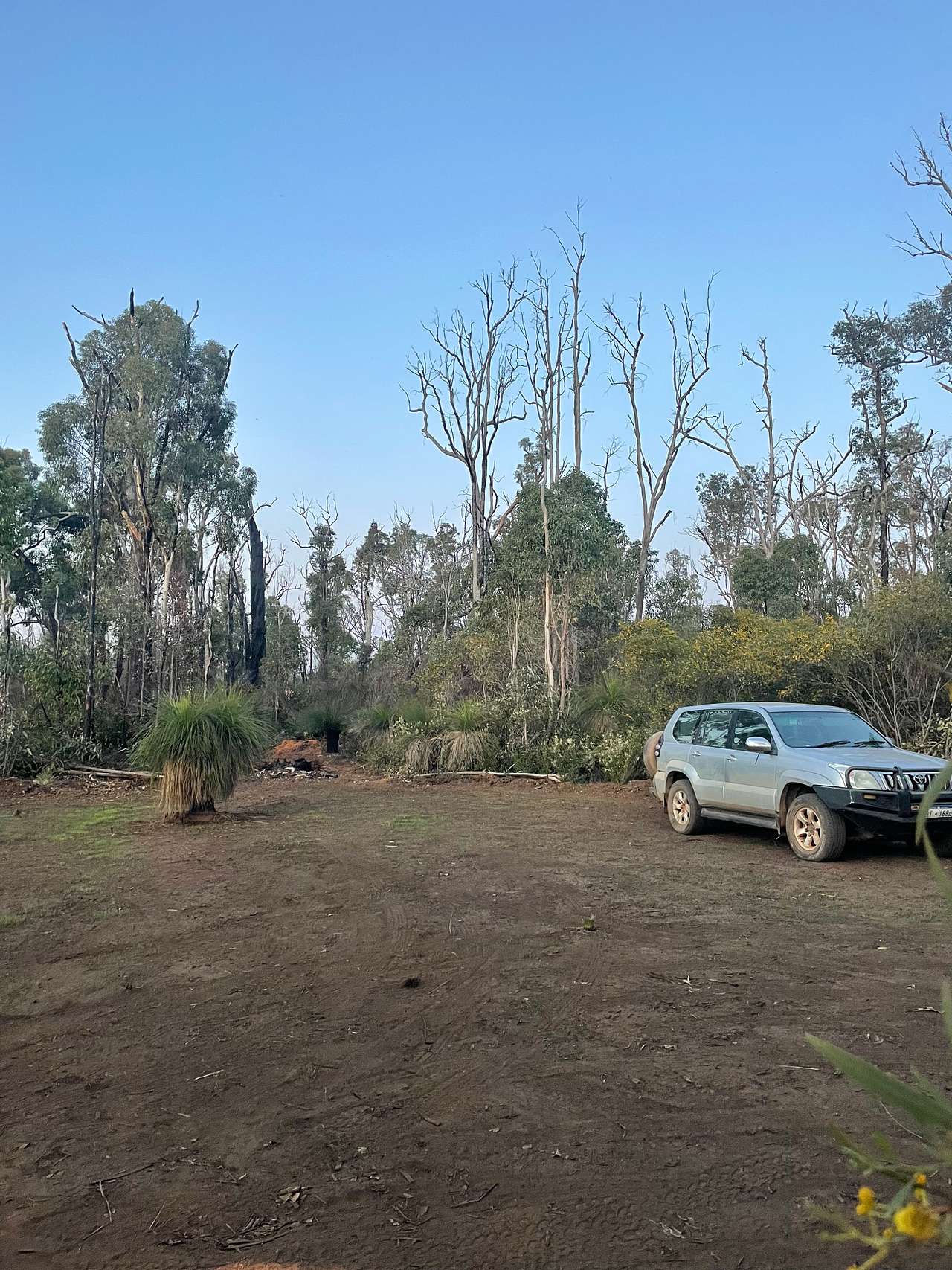 Picture of the site