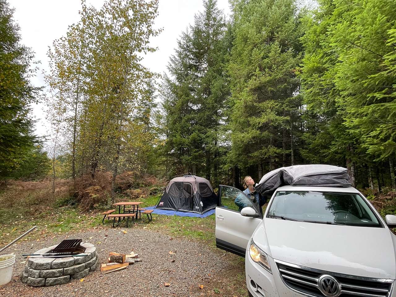 Picture of the site