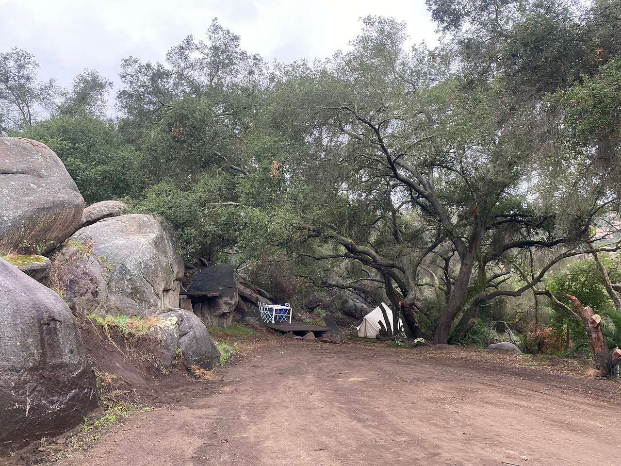 Picture of the site