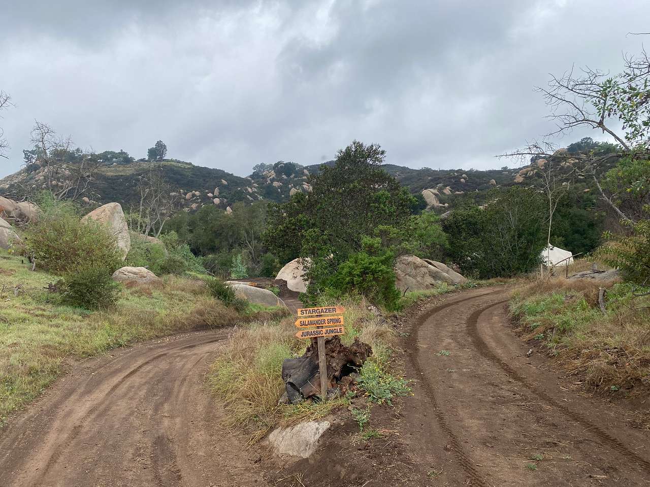 Picture of the site