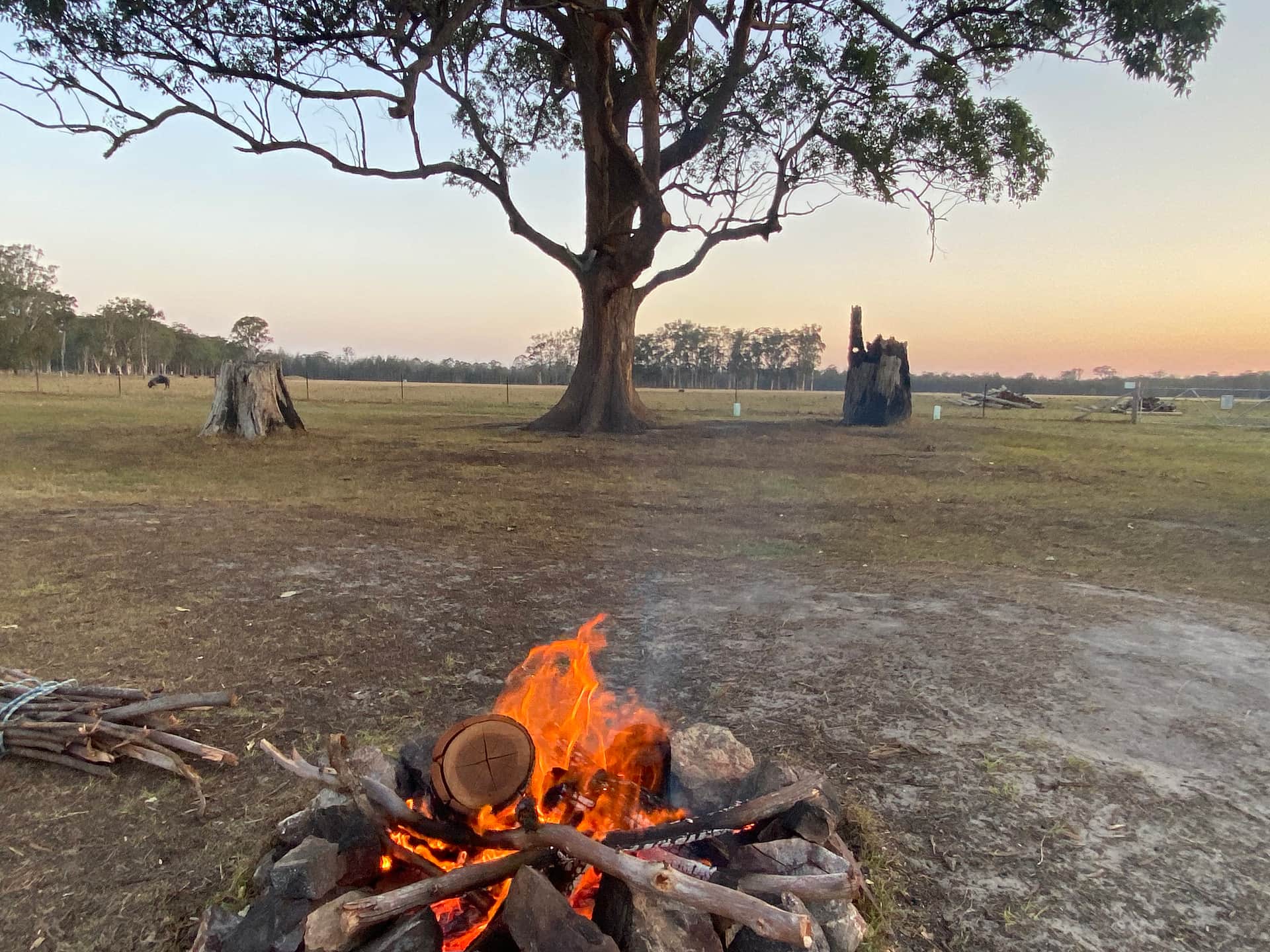 Picture of the site