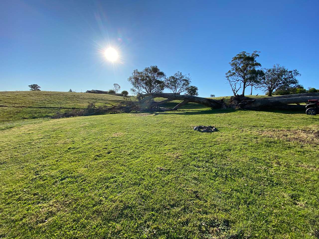 Picture of the site