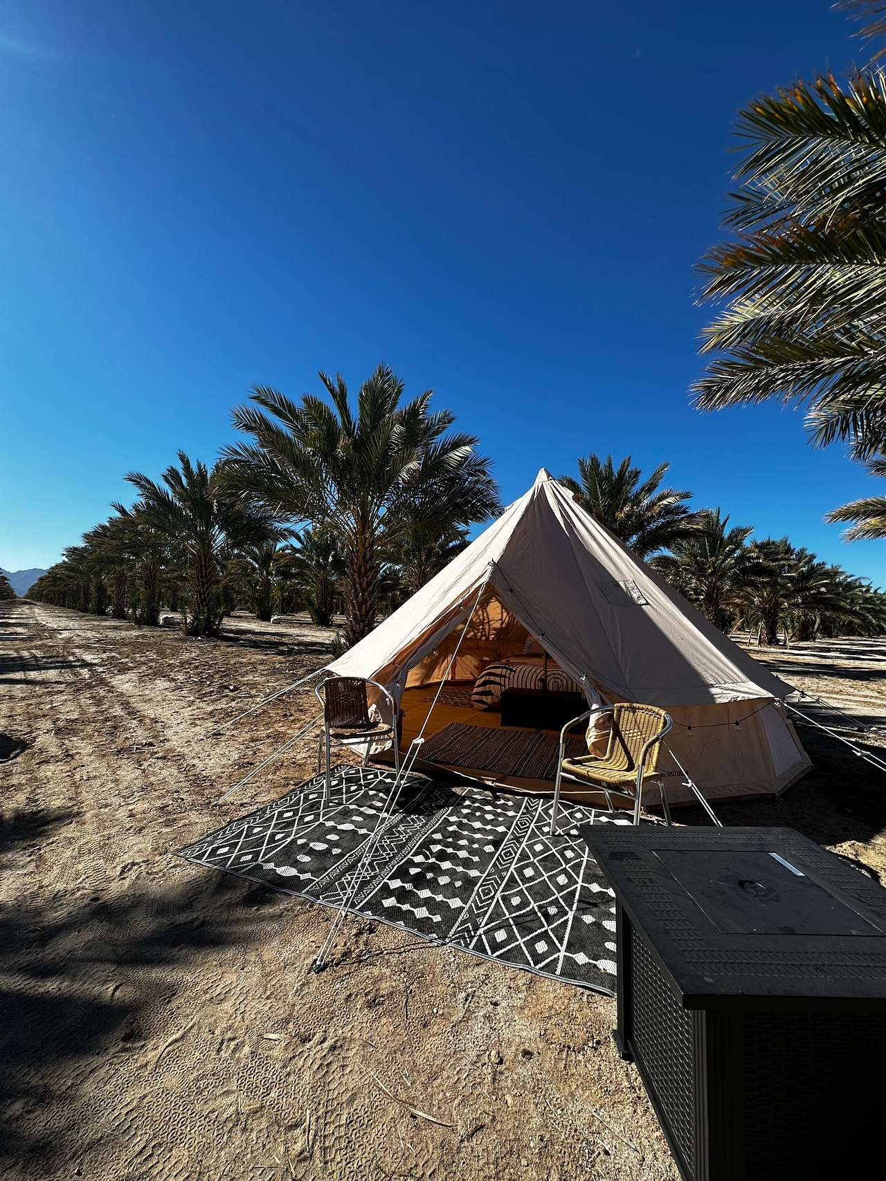 Picture of the site