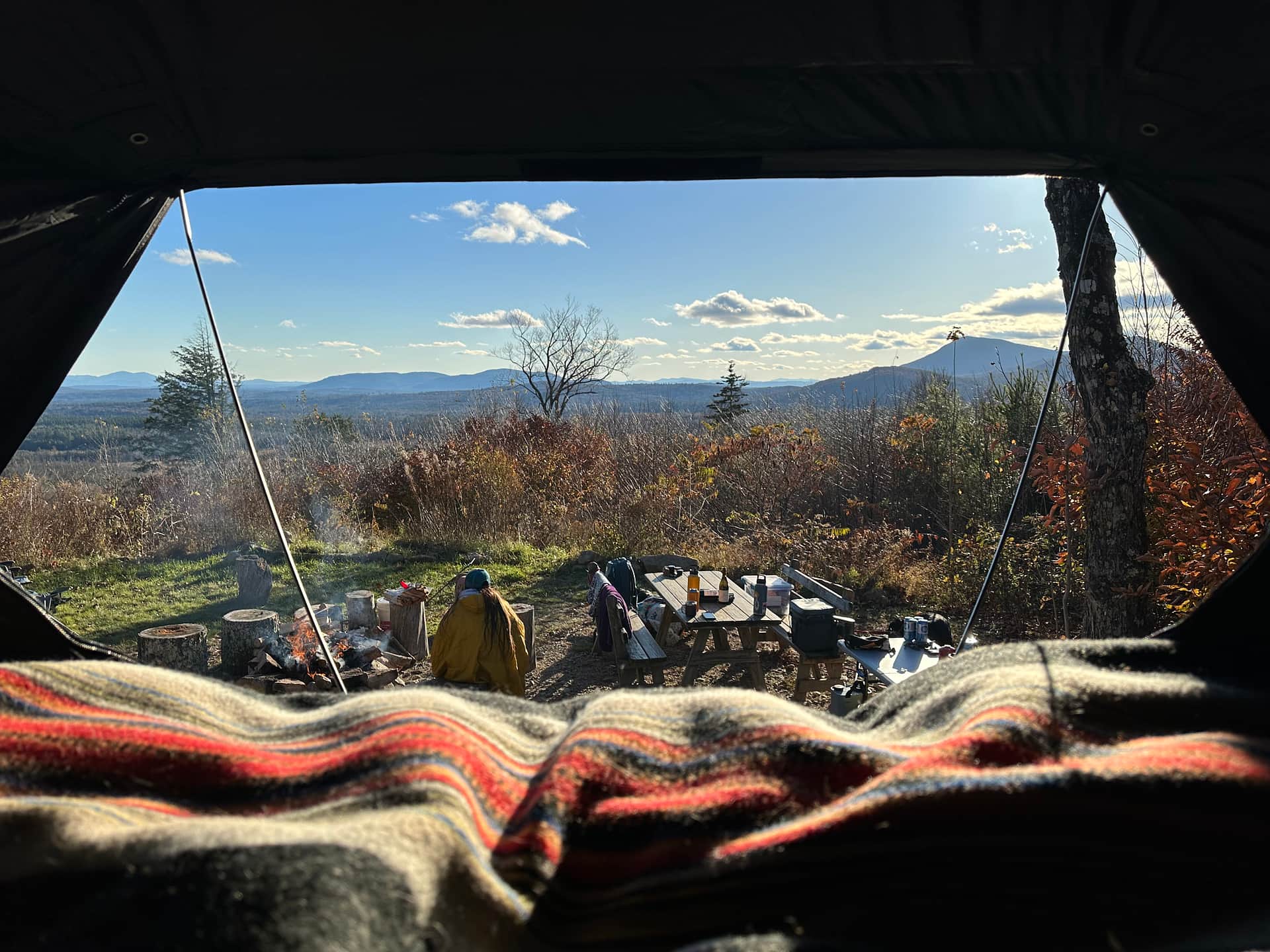 Picture of the site