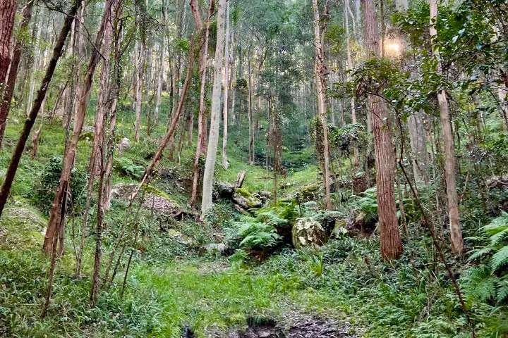 Picture of the site