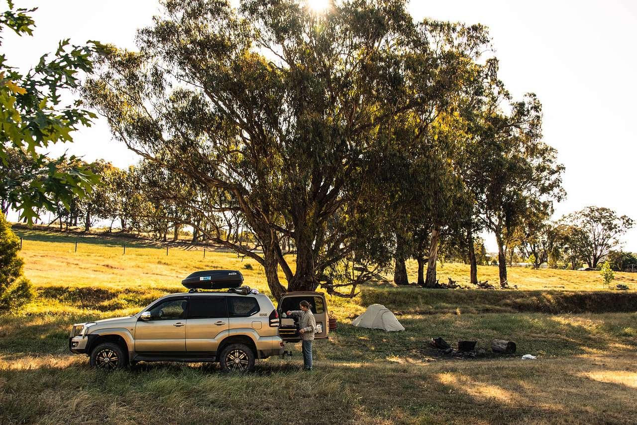 Picture of the site