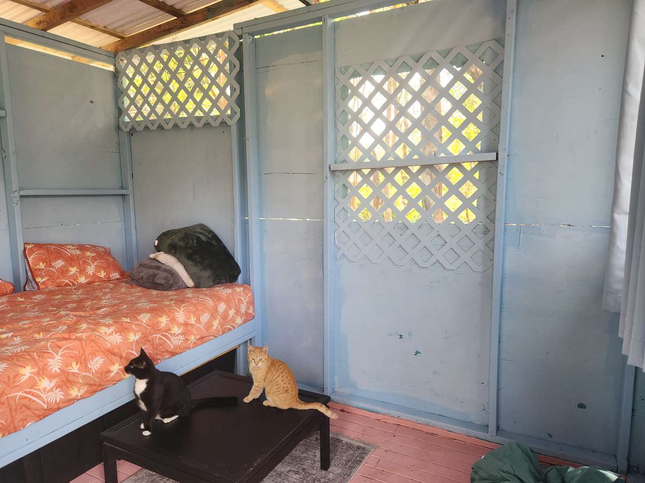View more photos of FlashTown