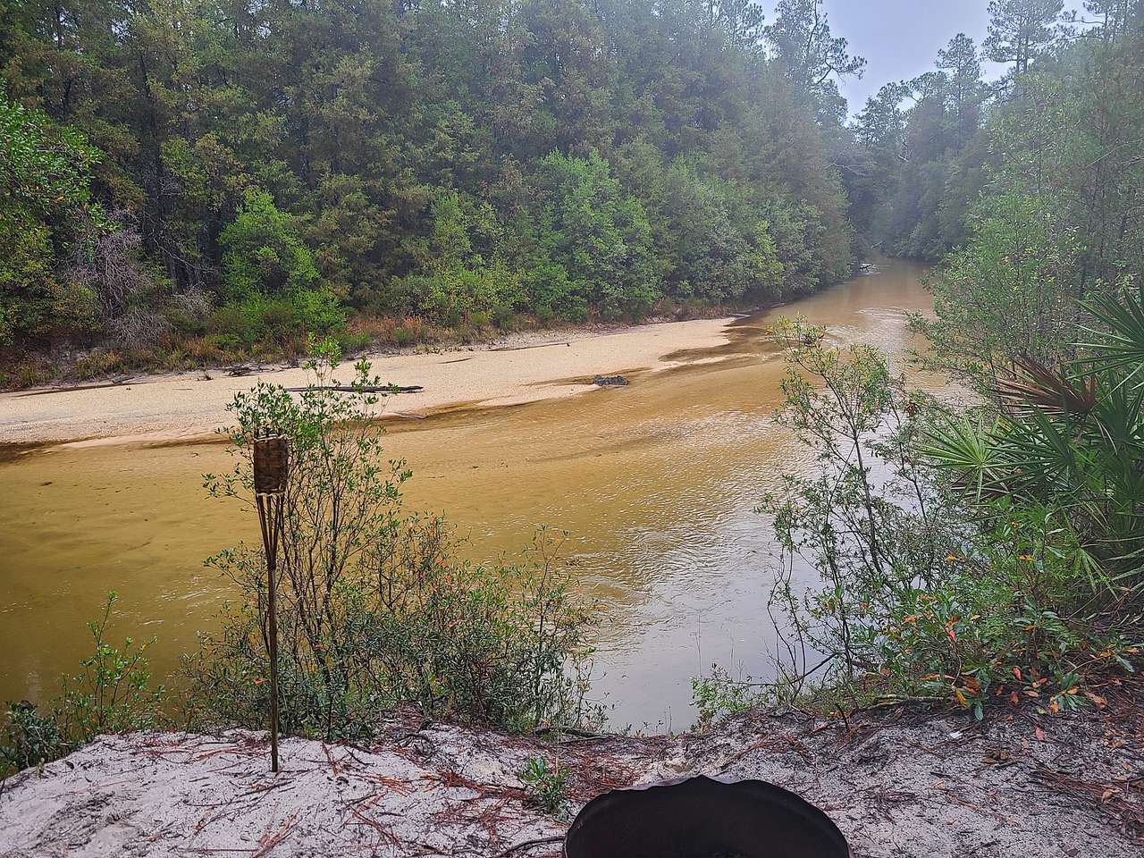 Picture of the site