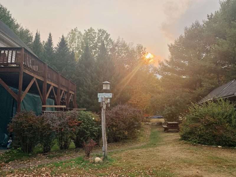 Picture of the site