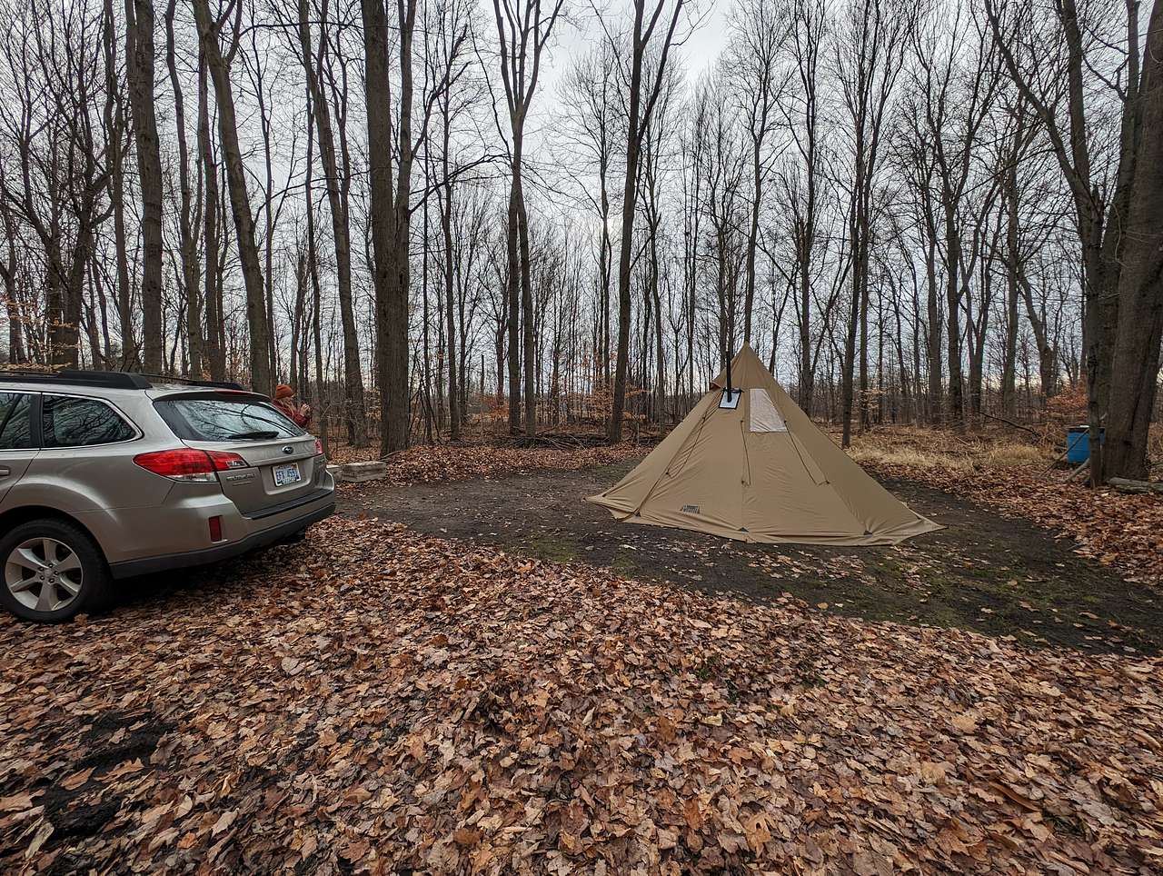 Picture of the site