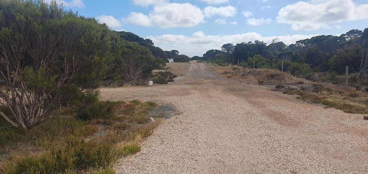 Picture of the site