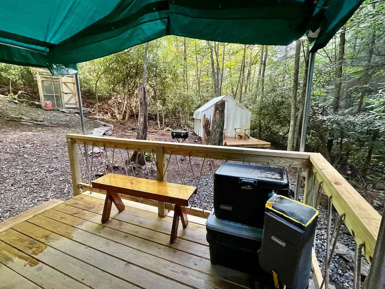 Picture of the site