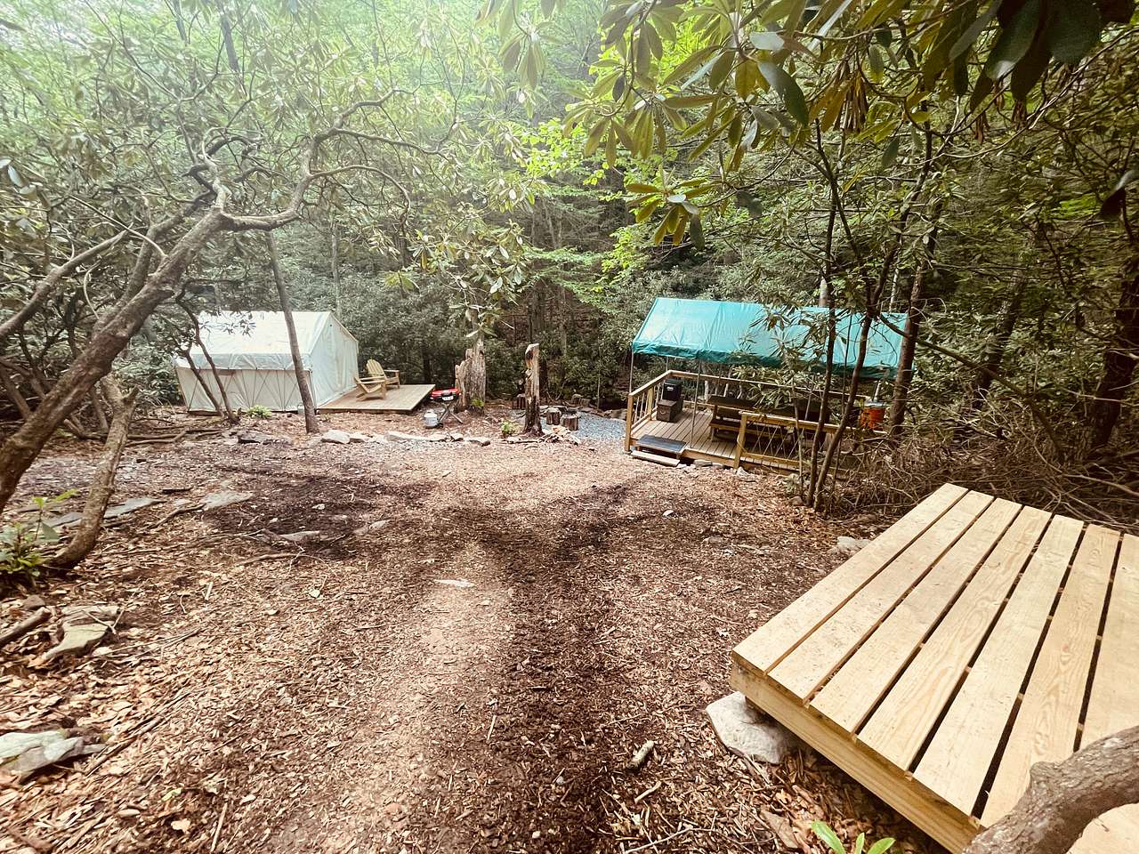 Picture of the site