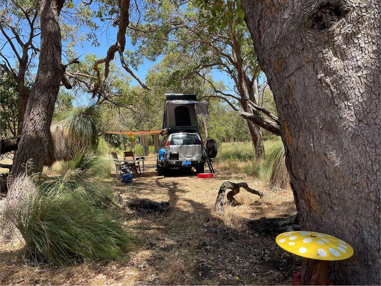 Picture of the site