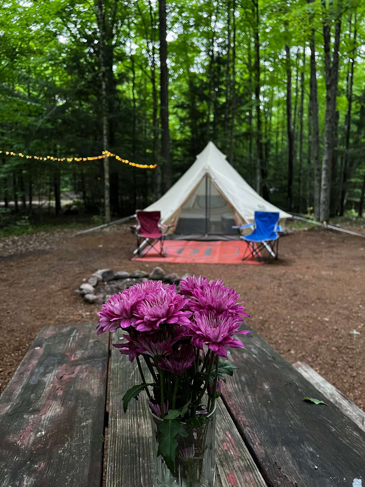 Picture of the site